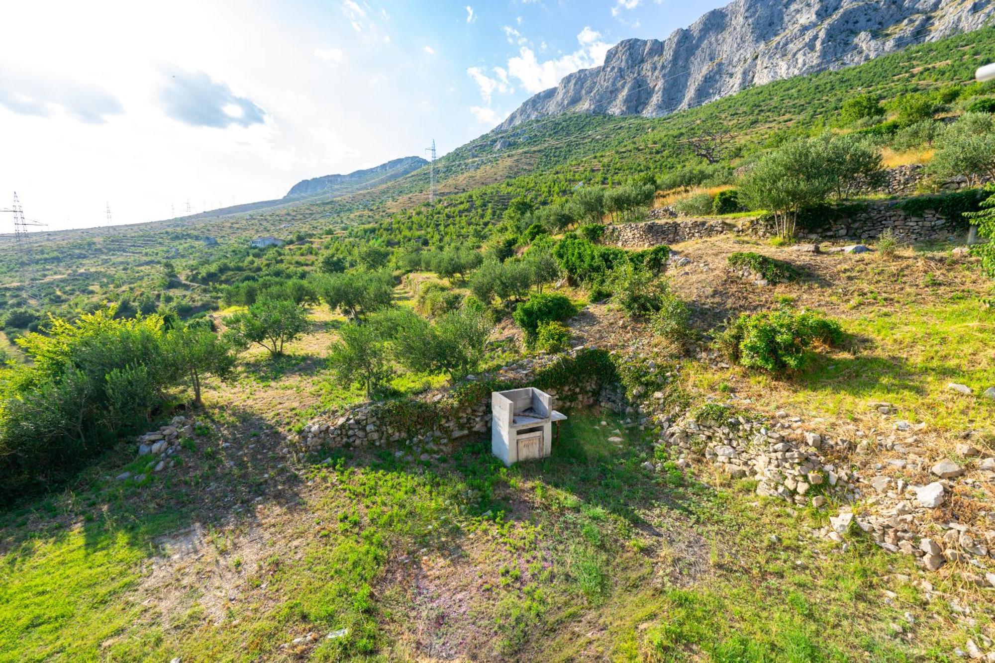 Olive Garden House In Zrnovnica With A View & Bbq Βίλα Εξωτερικό φωτογραφία
